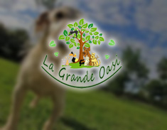 Rifugio ``La Grande Oasi``