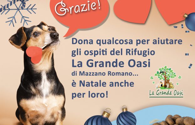 Regala un pasto a chi ne ha bisogno