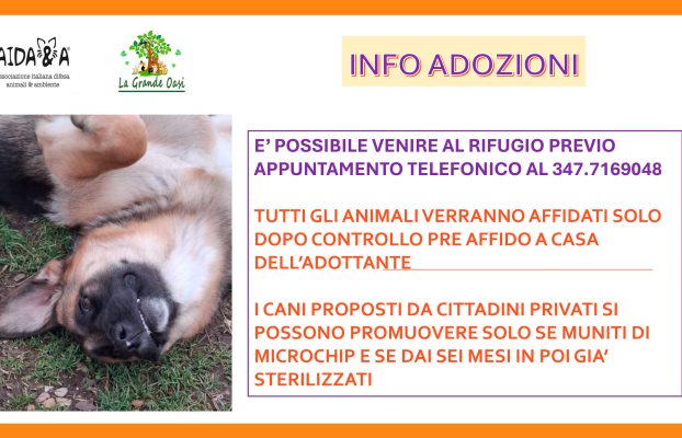 Avviso adozione