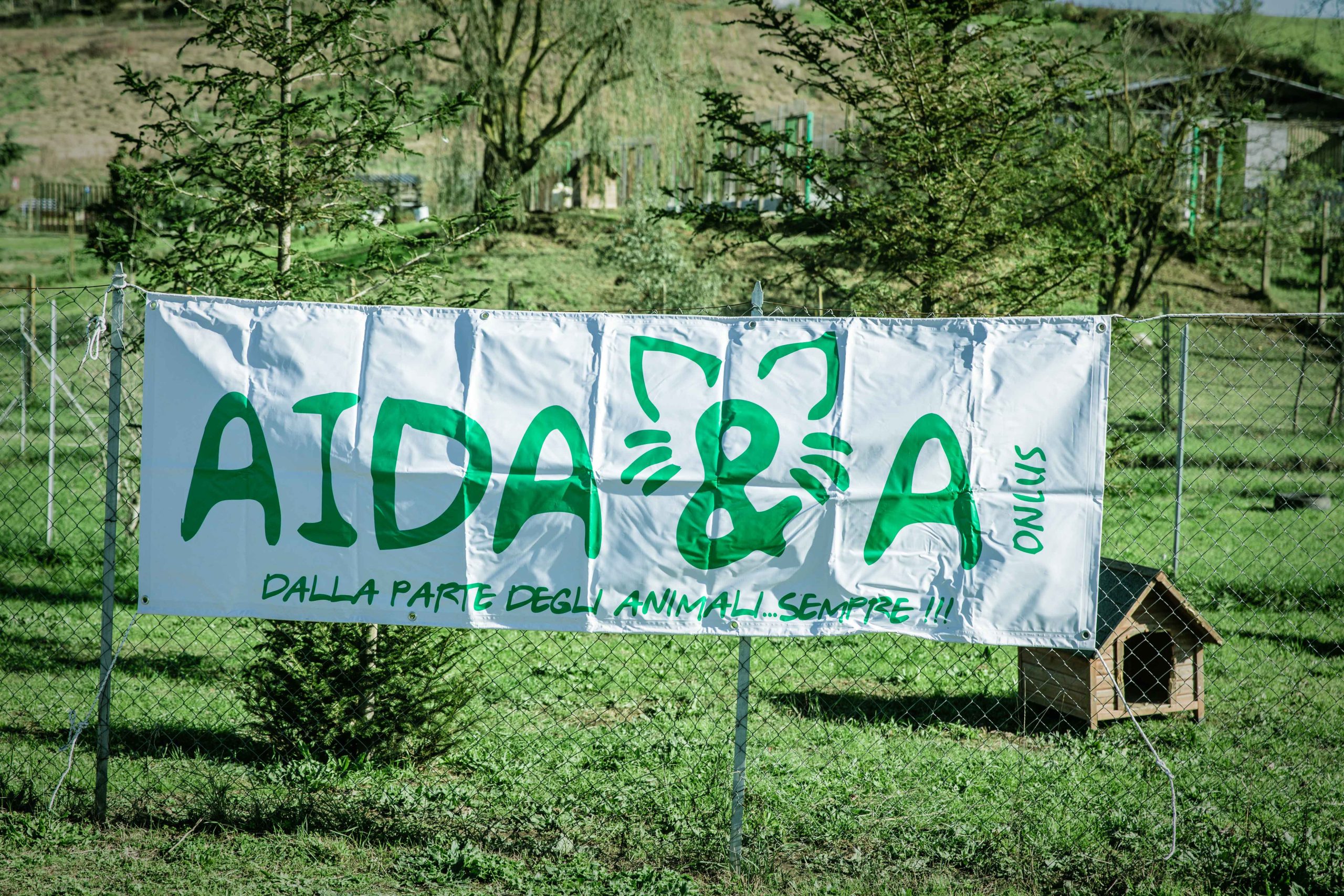 Image link