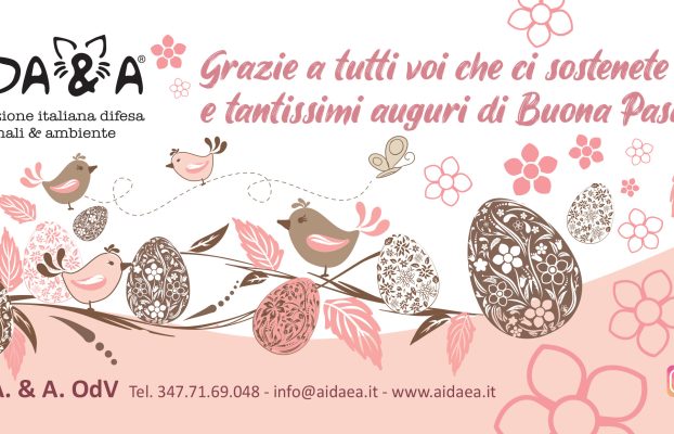 Buona Pasqua