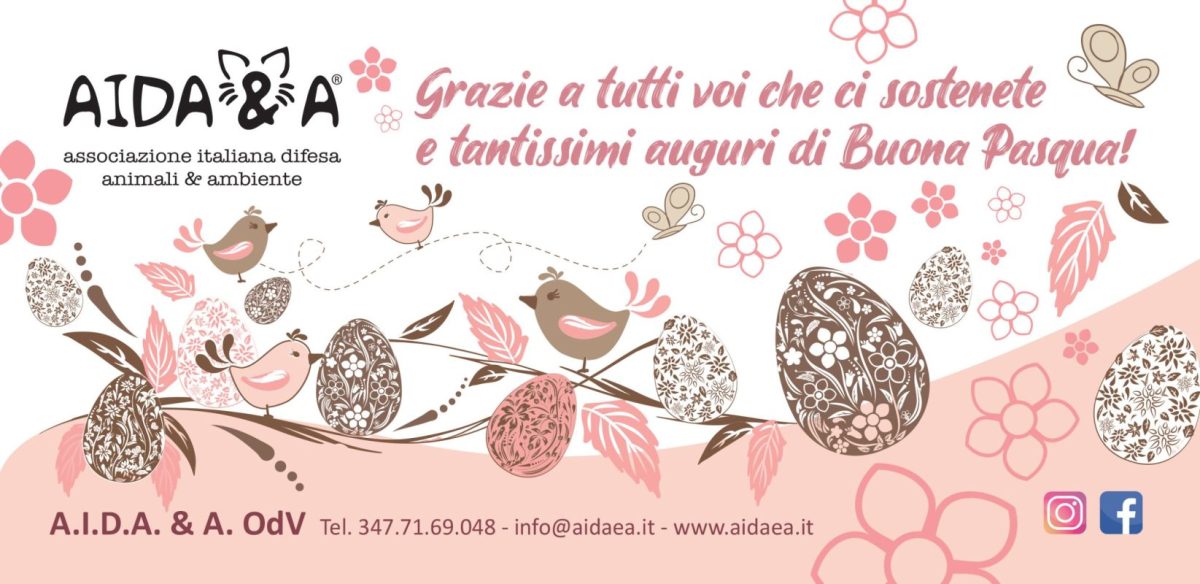Buona Pasqua