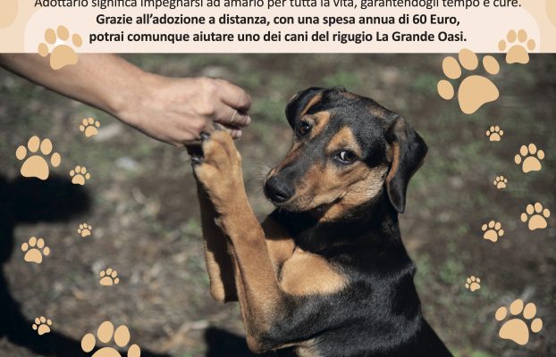 Se non puoi portarmi a casa con te ADOTTAMI A DISTANZA!