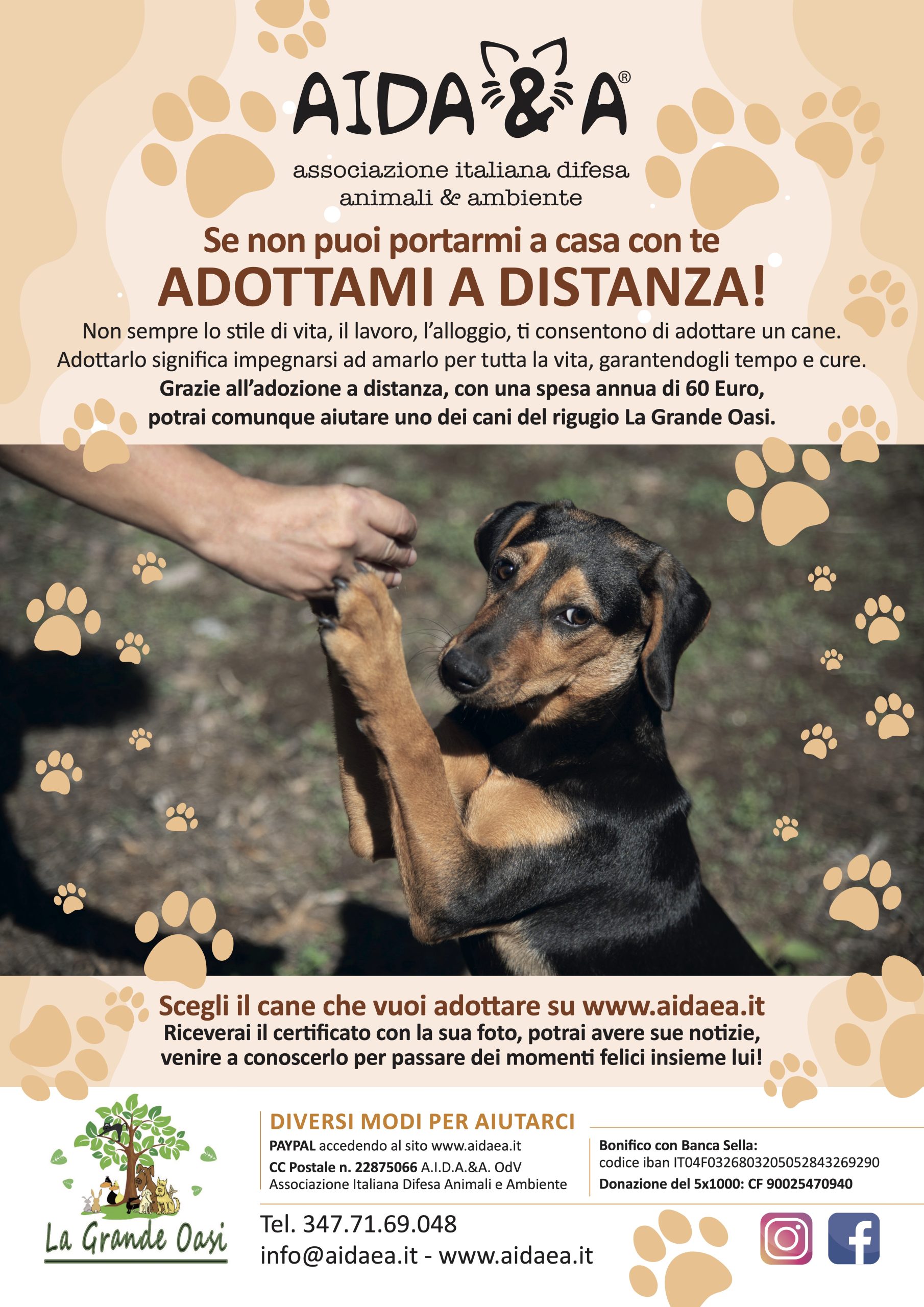 Se non puoi portarmi a casa con te ADOTTAMI A DISTANZA!