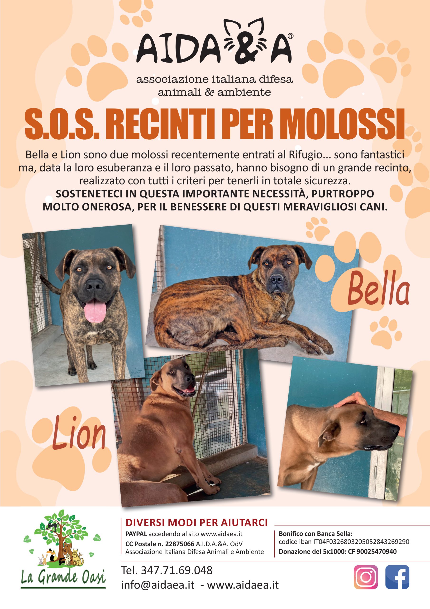 S.OS. RECINTI PER MOLOSSI