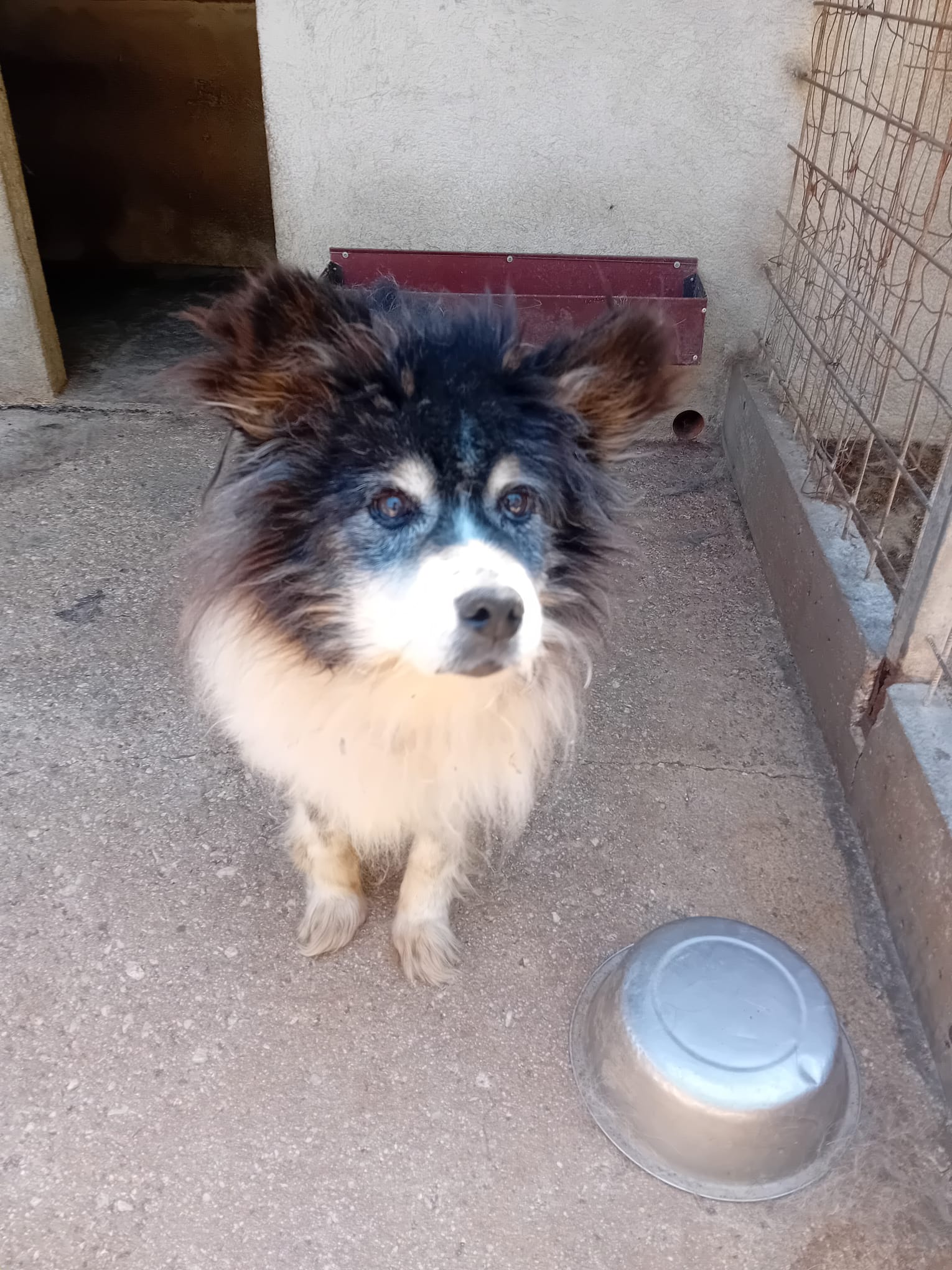 Teodoro