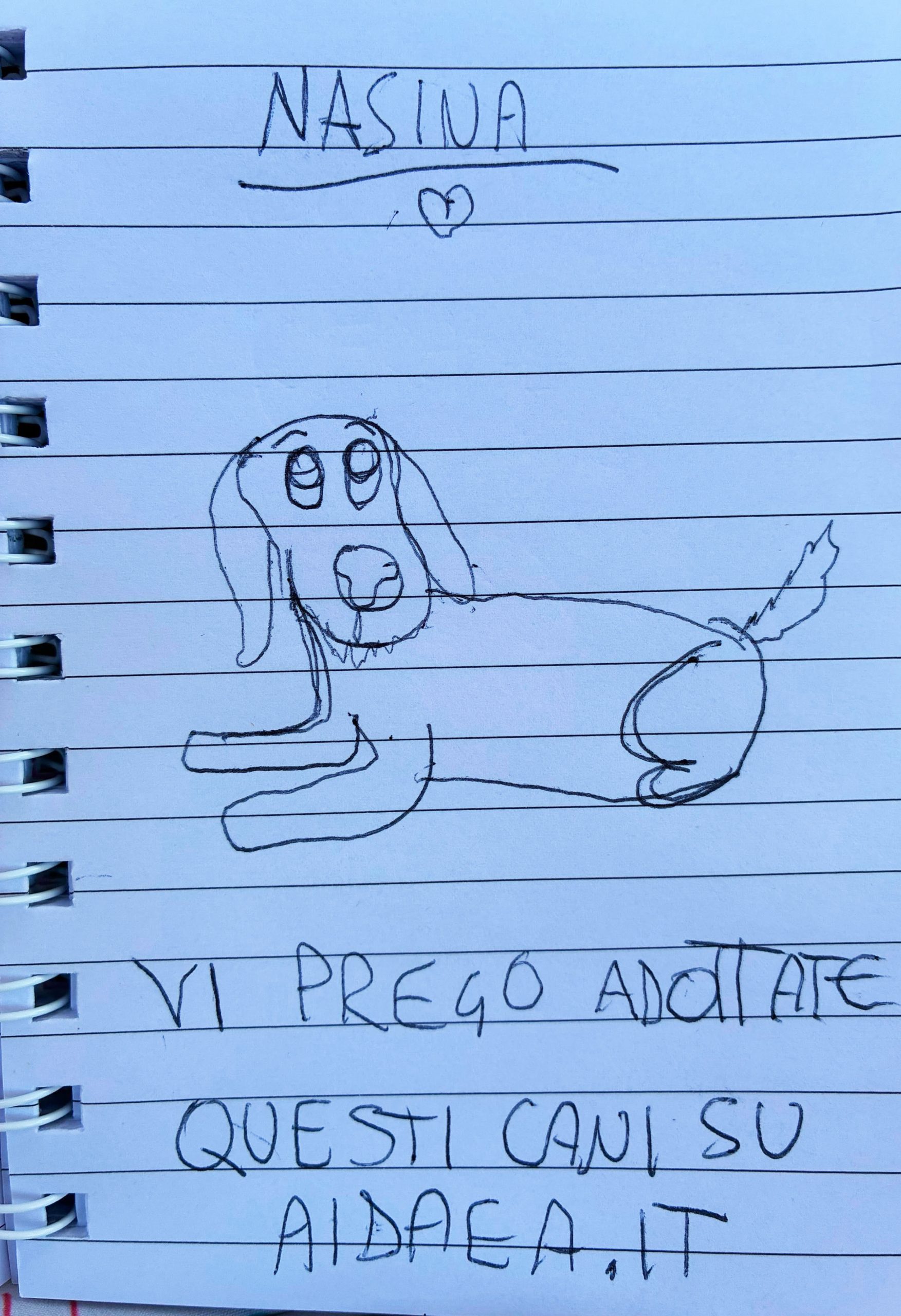 Grazie ad Agnese che ha fatto i disegnini dei cani in adozione