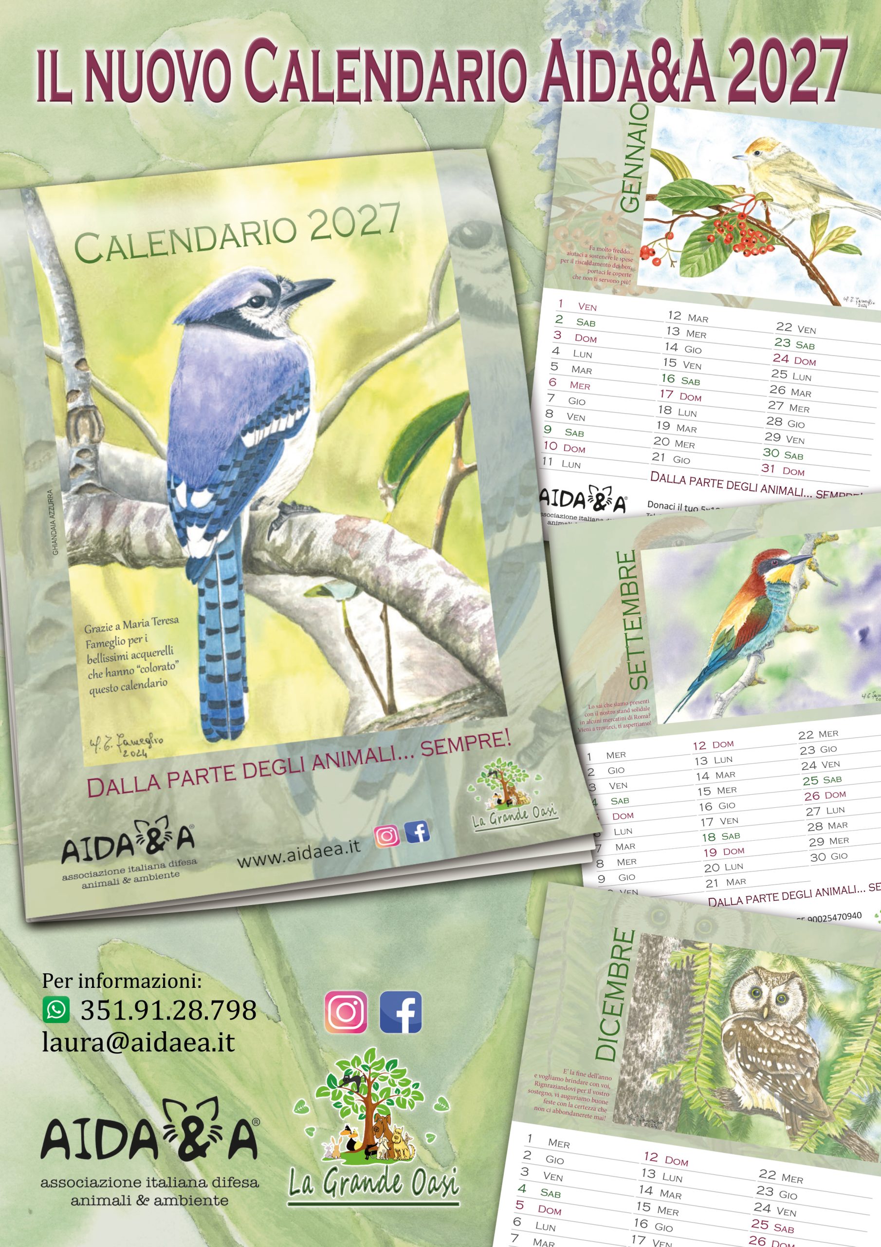 Calendario Aida&a 2027